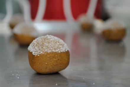 Holiday Orders Have Begun! sugar cookie doug