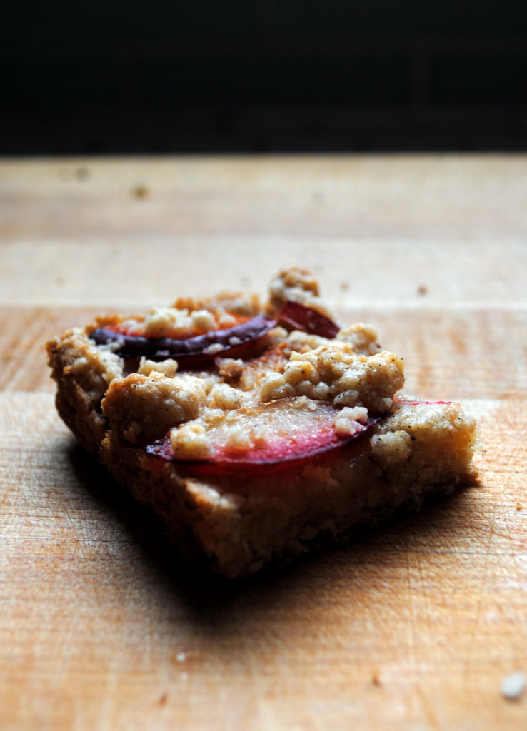 Vanilla Plum Shortbread Bar